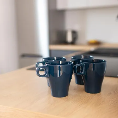 Kosciuszki Apartment